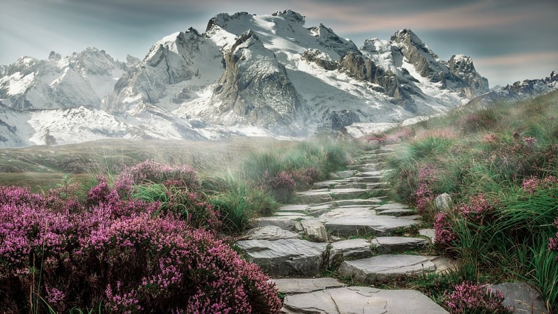 Garden Stepping Stones